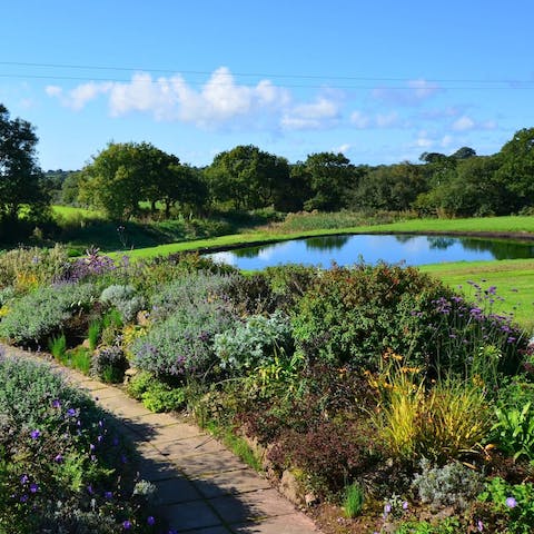 Wander about the colourful sensory garden and  watch for local wildlife