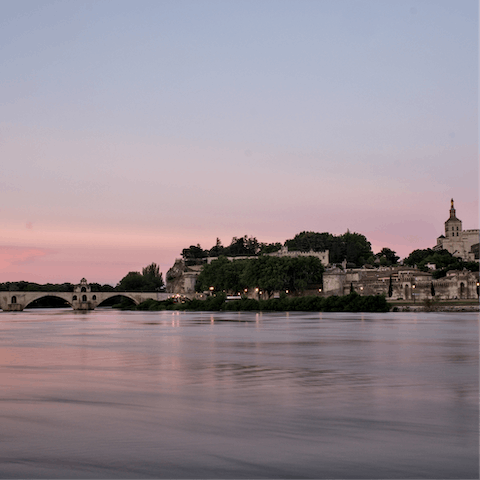 Spend a morning exploring the history-steeped city of Avignon 