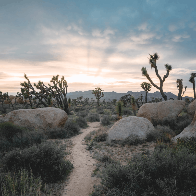 Visit the magnificent Joshua Tree National Park, a ten-minute drive away