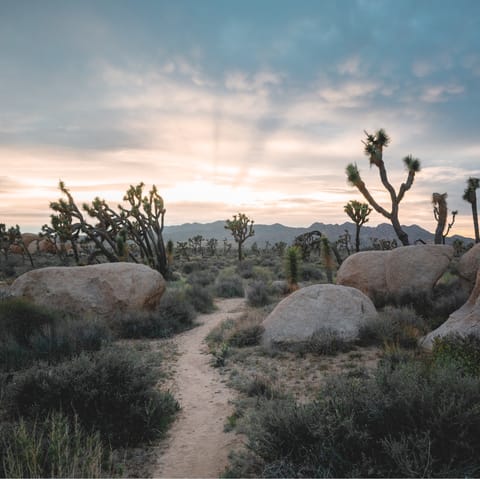 Visit the magnificent Joshua Tree National Park, a ten-minute drive away
