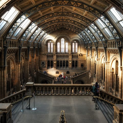 Be inspired by the Natural History Museum – just a short tube ride or walk away