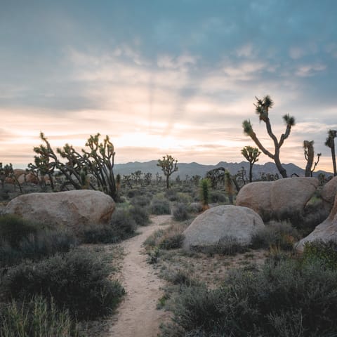Drive to the gates of Joshua Tree National Park in less than twenty minutes