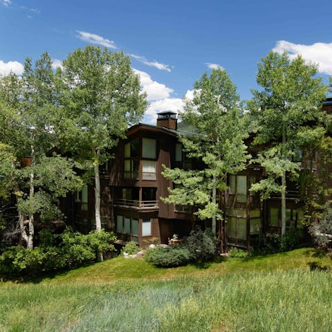 Stay in a top floor luxury condo surrounded by trees