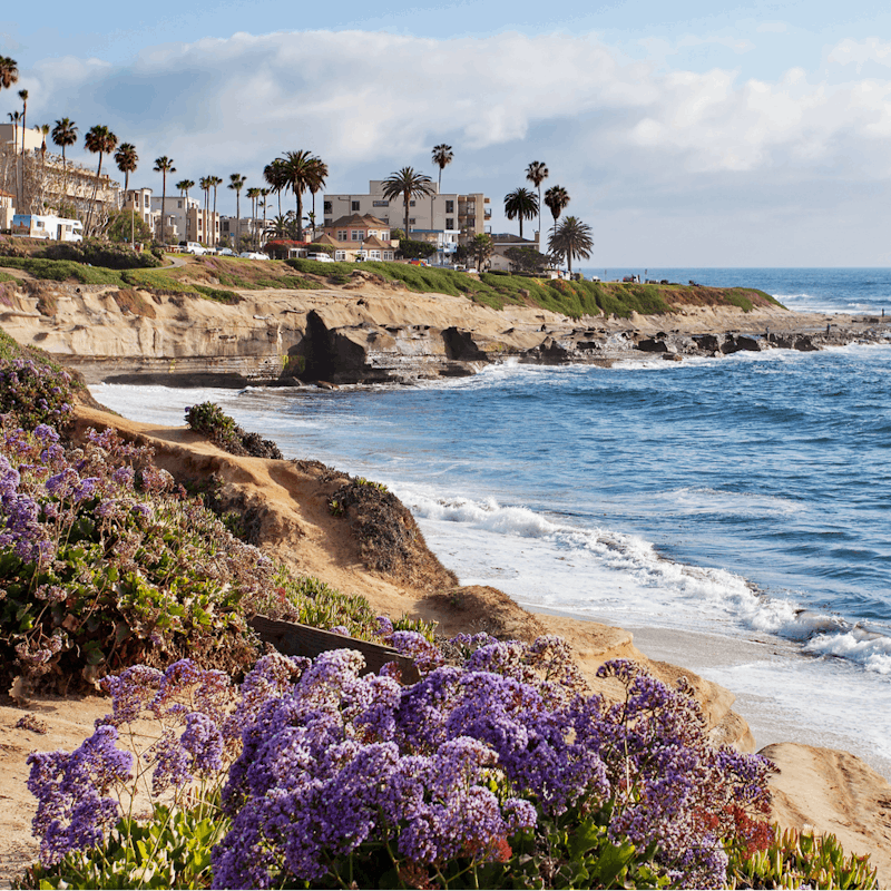 Walk less than ten minutes to the sandy shores of La Jolla Shores beach