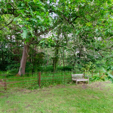 Find a quiet spot in the sprawling grounds for a moment's contemplation