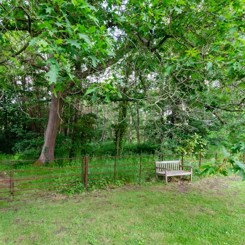 Find a quiet spot in the sprawling grounds for a moment's contemplation