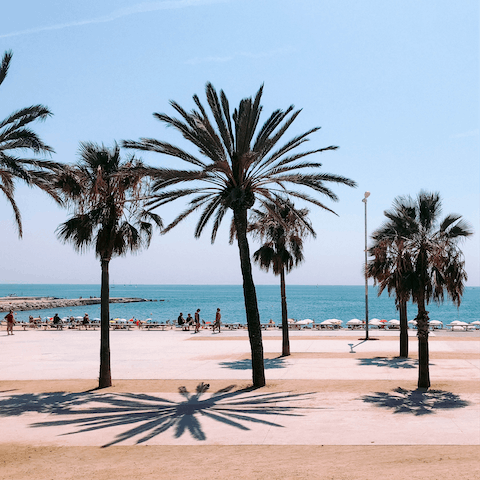 Set up your beach towel on Barceloneta beach, fifteen minutes away