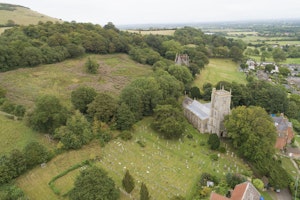 Longhorn image 14