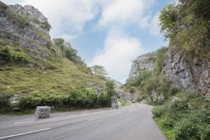 Longhorn image 12