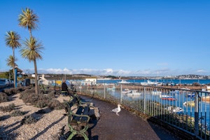 Bayside image 12