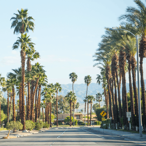 Head out and explore the rest of the Coachella Valley