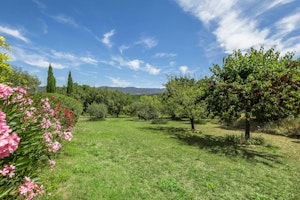 Postcard Farmhouse image 11