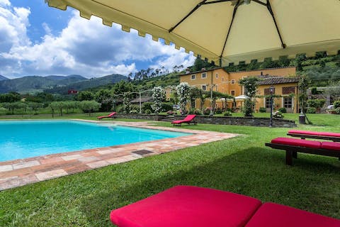 Lounge beside the pool and take in the view