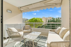 Croisette in the Treetops image 10
