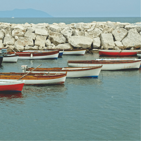 Take a boat trip and explore the coastline to Scolt Head Island 