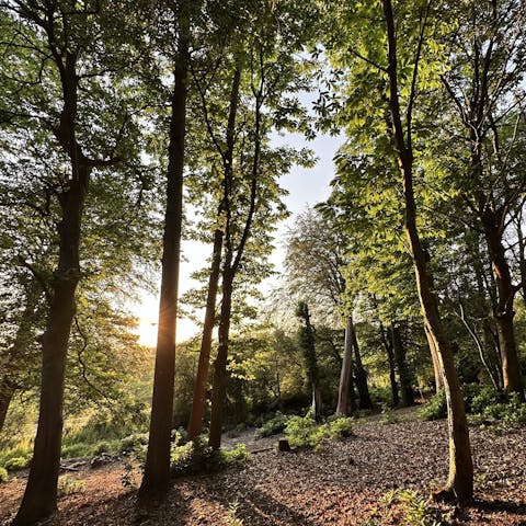 Enjoy woodland walks from this picturesque setting