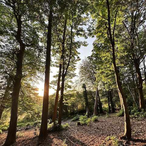 Enjoy woodland walks from this picturesque setting