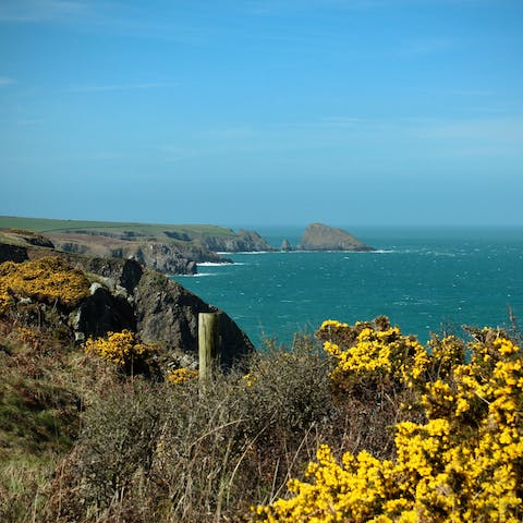 Hop in the car and reach the Pembrokeshire coastline in as little as ten minutes