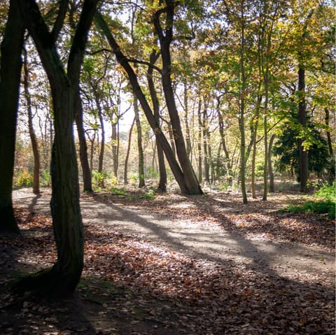 Enjoy a leisurely stroll around the nearby Bois de Boulogne