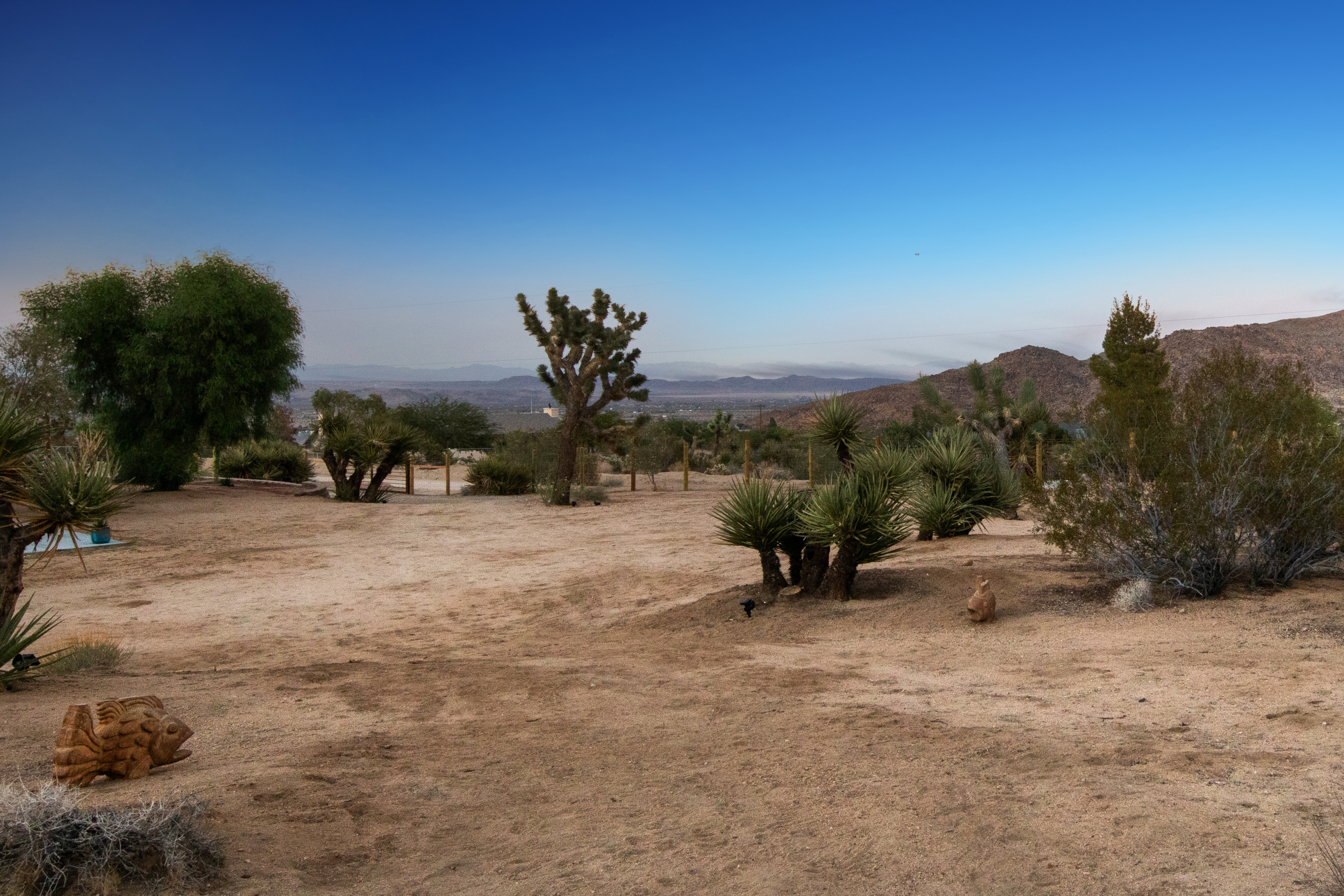 The Moonage Daydream