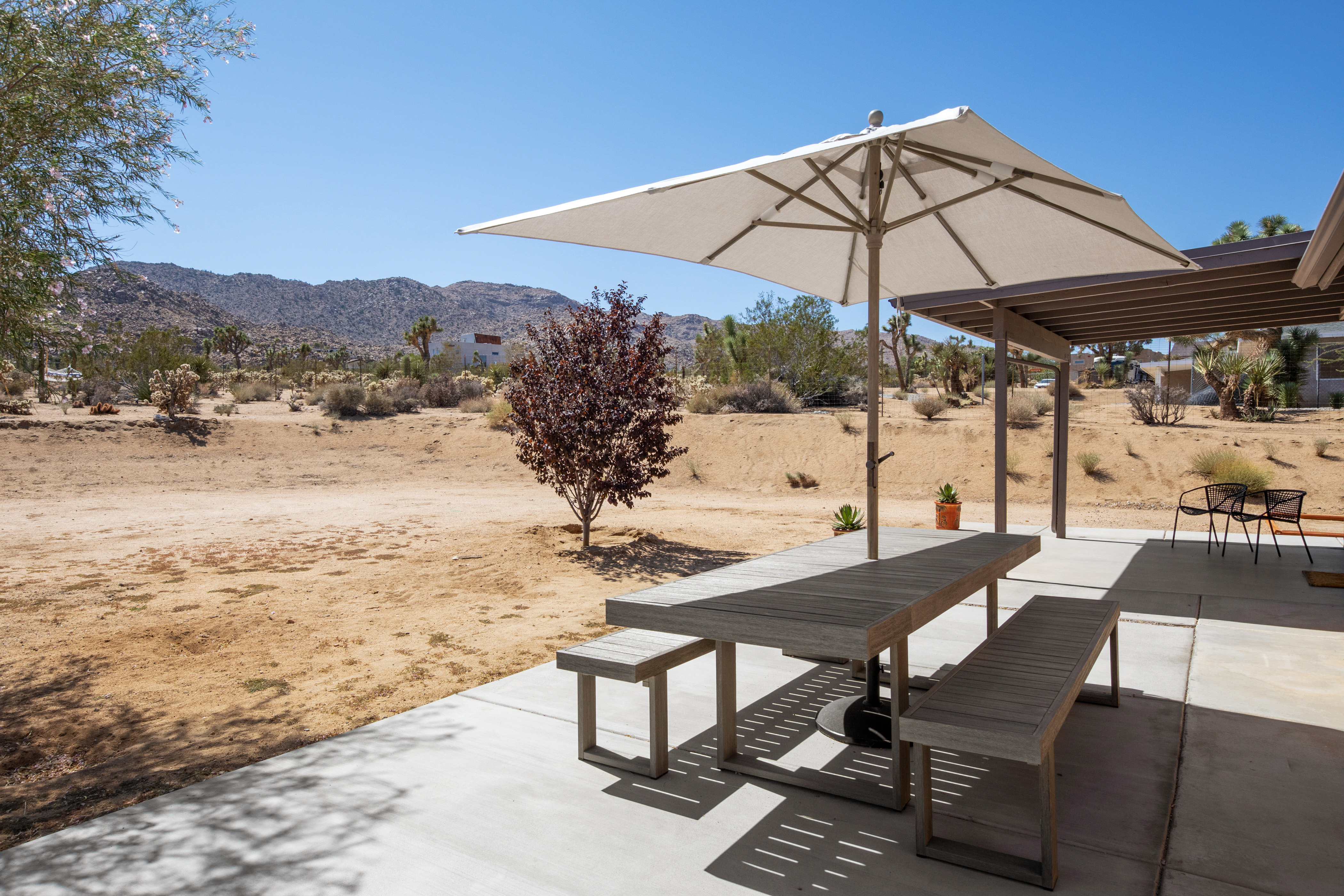 The Moonage Daydream