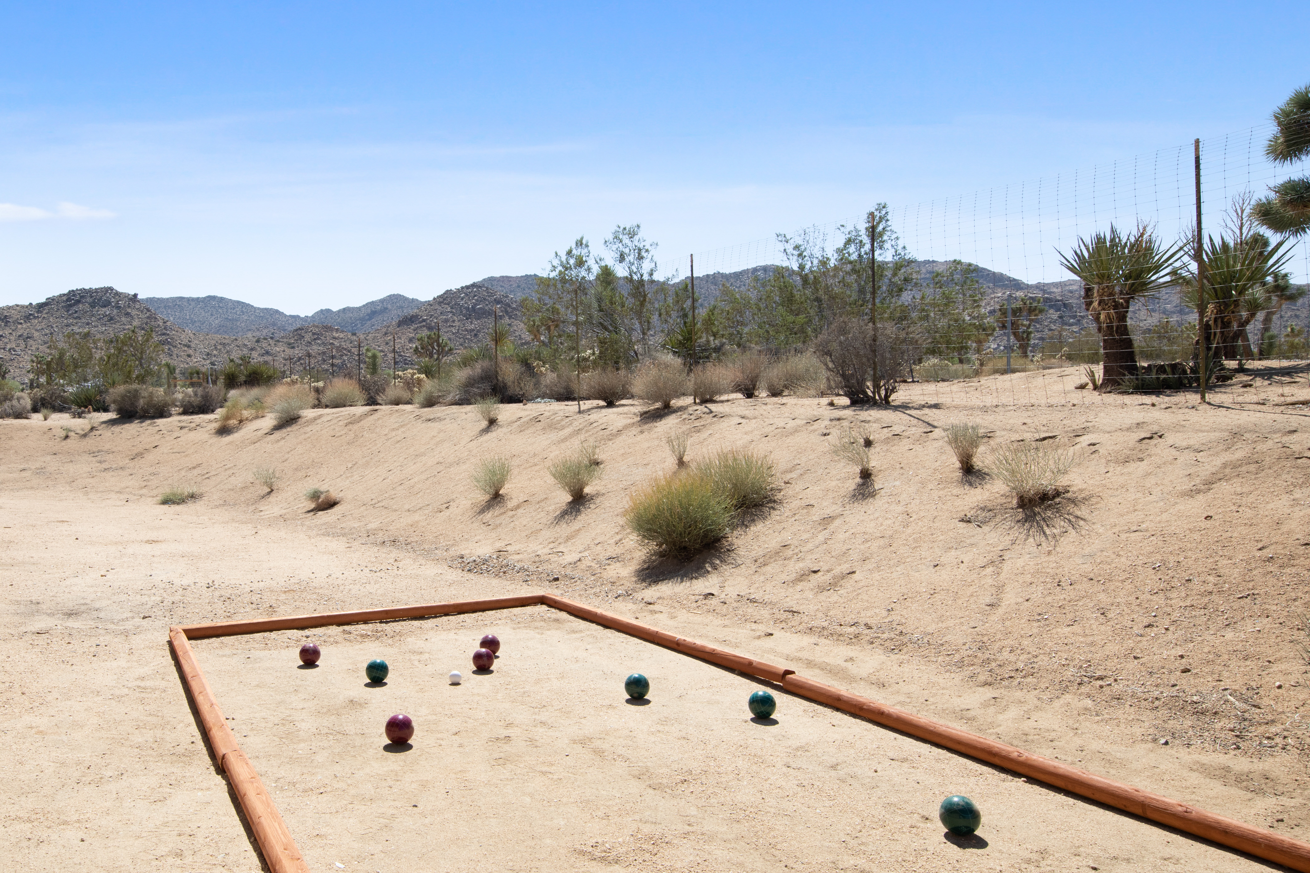 The Moonage Daydream