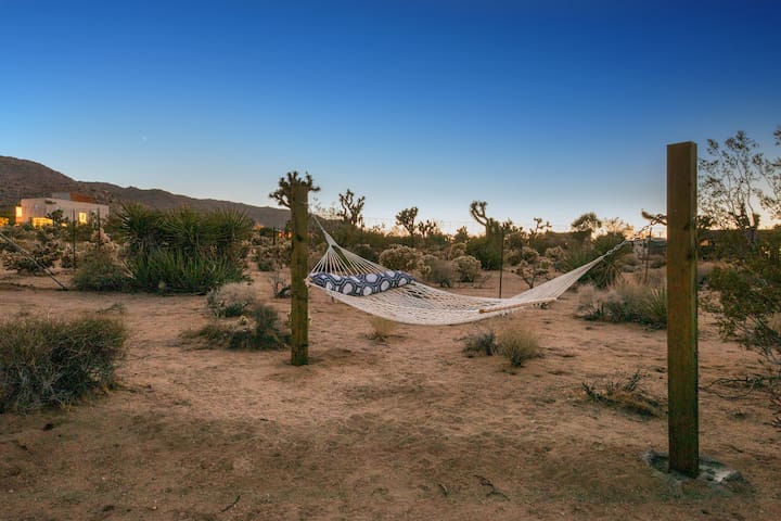 The Moonage Daydream