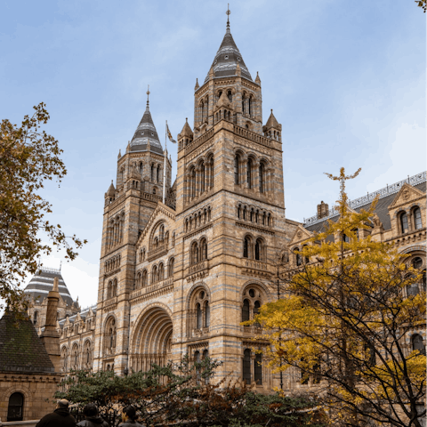 Visit the Natural History Museum, only a fifteen-minute walk away