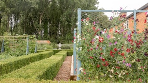 The Garden of Tranquility image 7