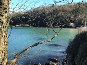 Breezy Bay Retreat image 8