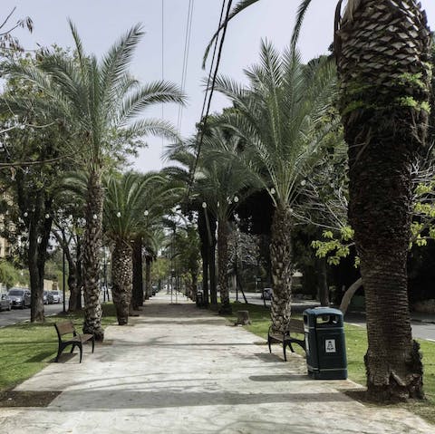 Take a stroll down the peaceful vibes of Bialik Boulevard, lined with tropical palm trees