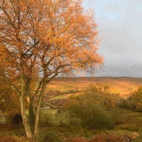 Explore the scenic trails and walking paths around you