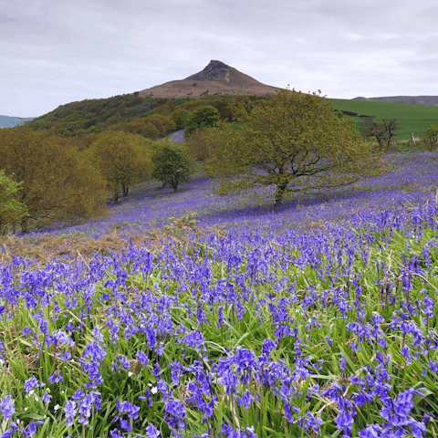 Climb the slopes of Roseberry Topping,  a seven-minute drive away