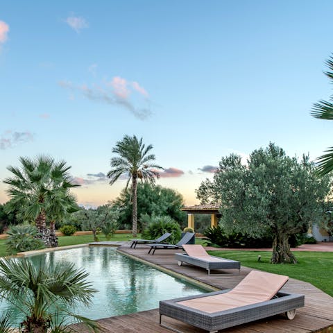 Cool off in the palm-shaded pool