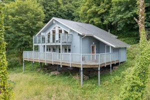 Blue South Wales image 9