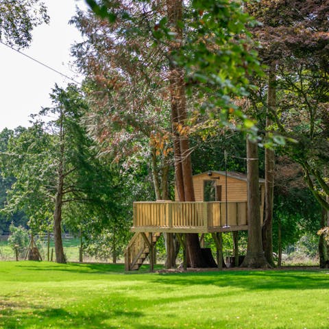 Let the kids have fun playing in the tree house