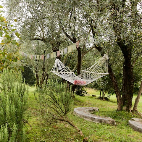 Relax in the serenity of the garden and spend a lazy afternoon in the hammock 
