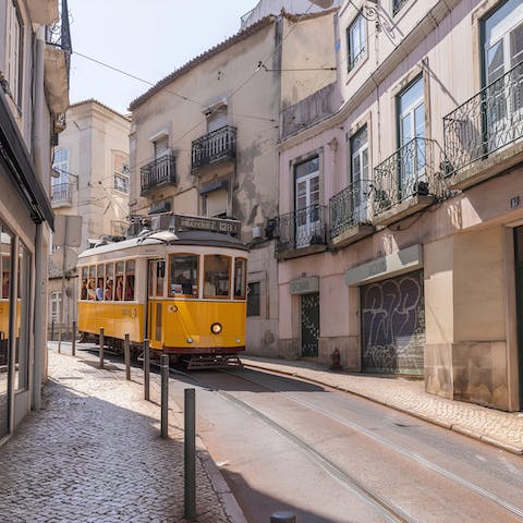 Take in the city views as you ride the Elevador da Bica