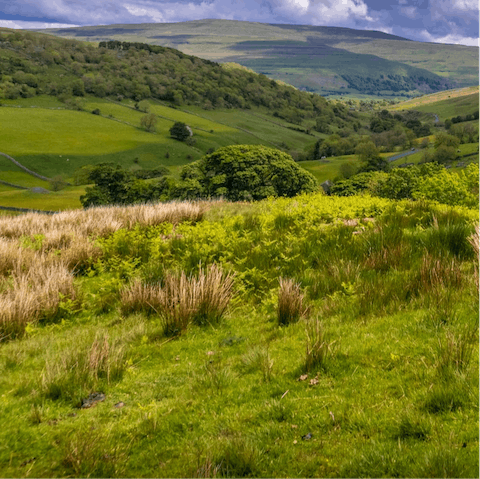 Take a thirty-minute drive into the lush landscapes of the Yorkshire Dales