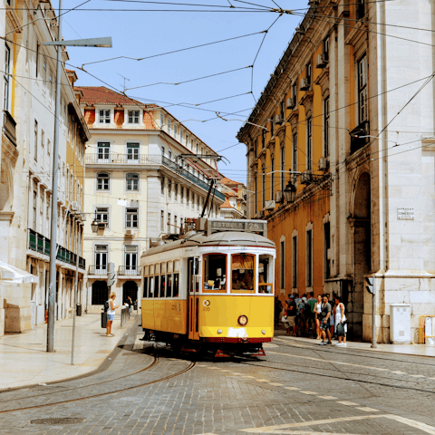 Jump on one of the many trams that operate around the city