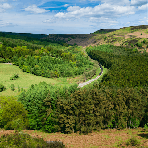 Drive just 15 minutes to the North York Moors national park