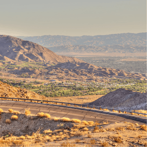 Drive twenty minutes into the beguiling Coachella Valley Preserve