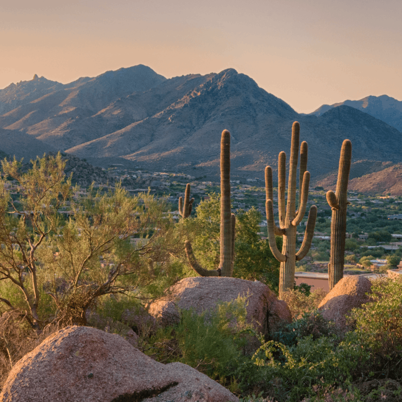 Explore the beautiful desert landscape in nearby Pinnacle Peak Park