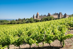 Medieval Vista image 12