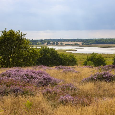 Explore the natural riches of the Suffolk Coast and Heaths AONB, reached in five minutes by car