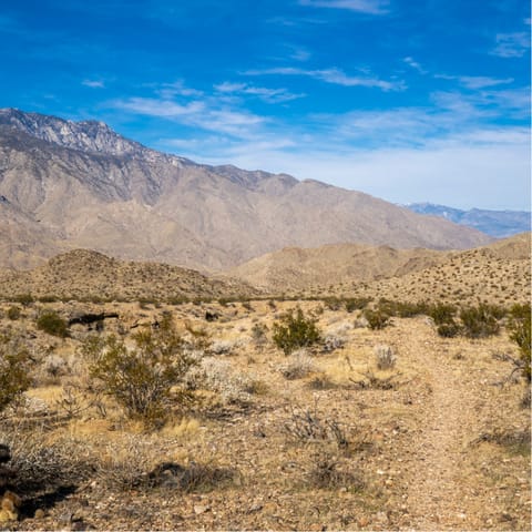 Drive out of Palm Springs for long walks along mountain and desert trails