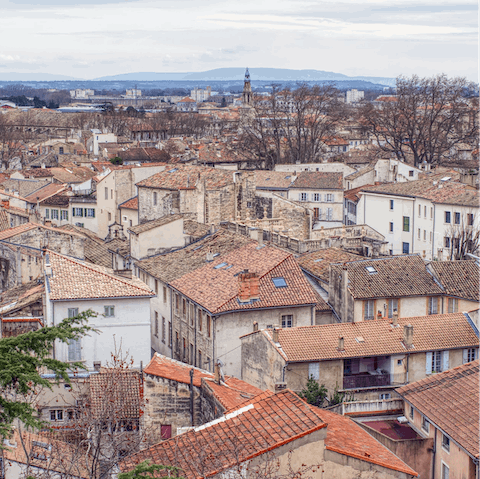 Take a thirty-minute drive to the historic city of Avignon for the day