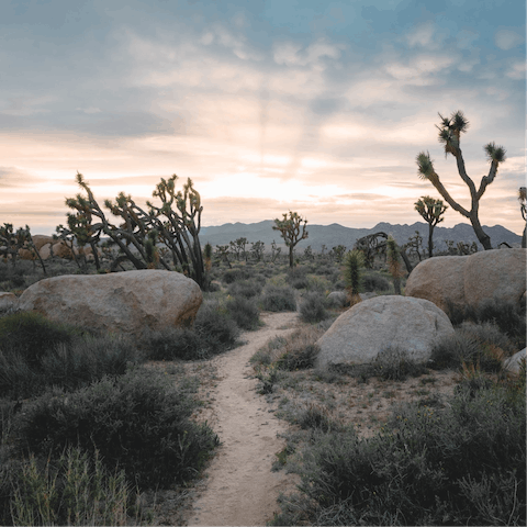 Discover the beauty of Joshua Tree, the National Park is just a twenty-minute drive away