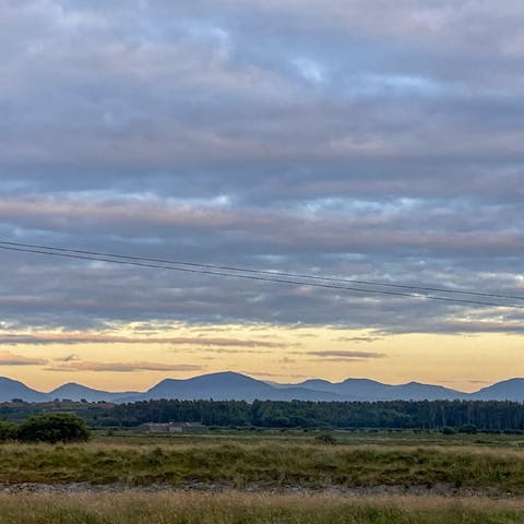 Pack your binoculars and go birdwatching on Malltraeth Marsh opposite cottage