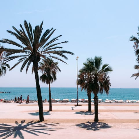 Soak up the sun on Barceloneta Beach, an eleven minute drive